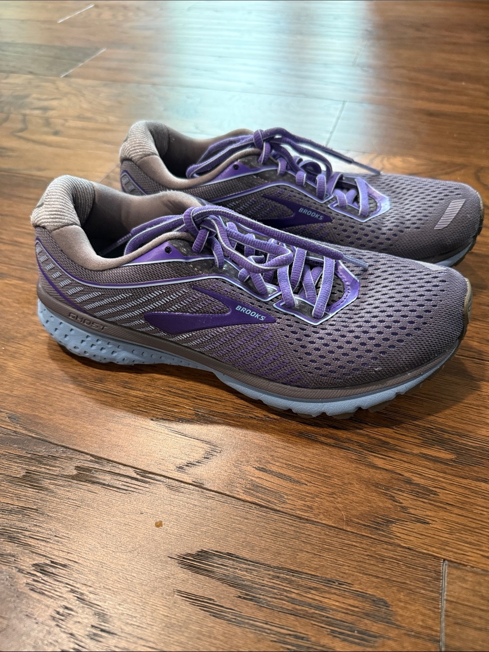 Brooks Women's Running Shoes in Purple and Gray- Ghost 12.